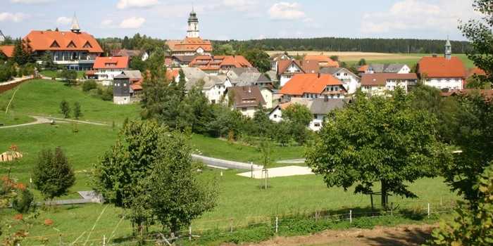Blick auf Grafenhausen